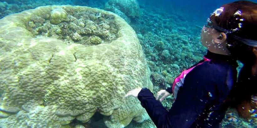 El Nido: Island Hopping Tour B Cudognong Cave & More - Who should book El Nido Tour B