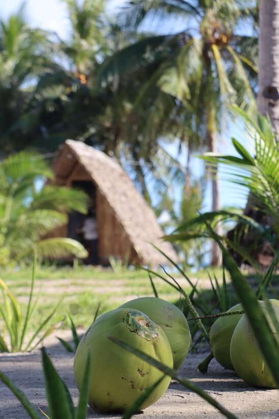 El Nido to Coron: 3-Day 2-Night Island-Hopping Expedition - Should you book the El Nido to Coron expedition?