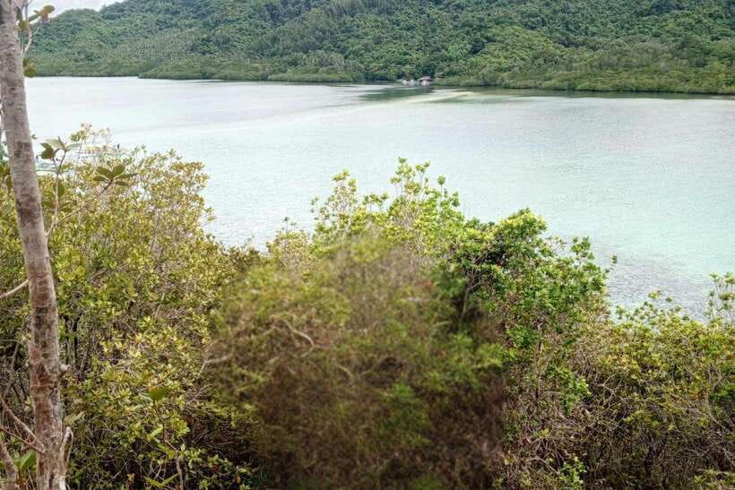 El Nido: Tour B with Snake Island, Cudugnon Cave, and More - Tour B at a glance