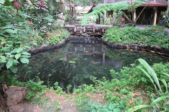 Escape to Enchanting Hidden Valley Springs! with Transfers*** - Filipino lunch adds real value