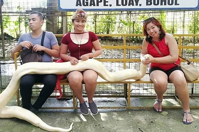 Exclusive Bohol,Philippines Chocolate Hills-Tarsier Tour - Why this private Bohol day works