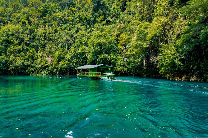 Famous Bohol Chocolate Hills Loboc River Cruise Tarsier Tour - A full day from Tagbilaran to Bohol’s interior