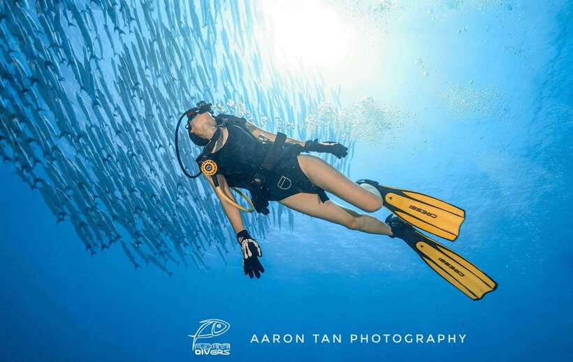 Fisheye Divers: Discover Scuba Diving - Shallow Water Practice Before the Boat Trip