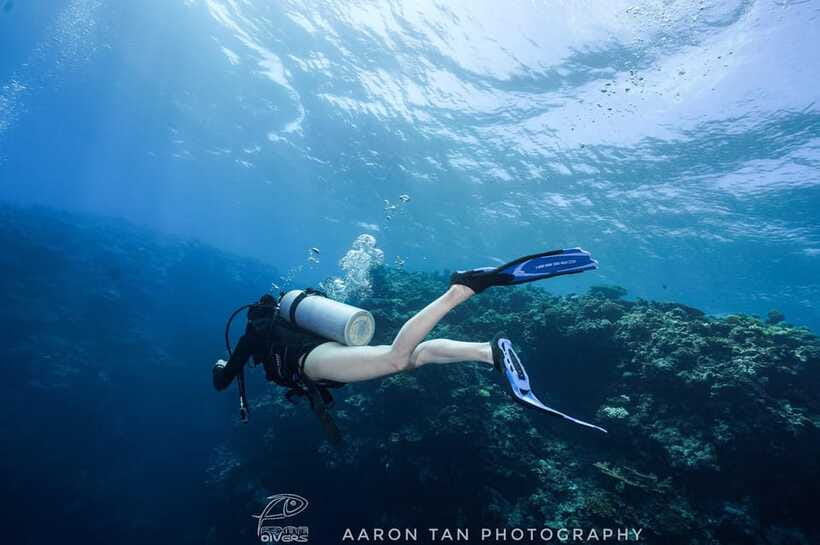 Fisheye Divers: Discover Scuba Diving - The Fisheye Divers Experience in One Morning or Afternoon