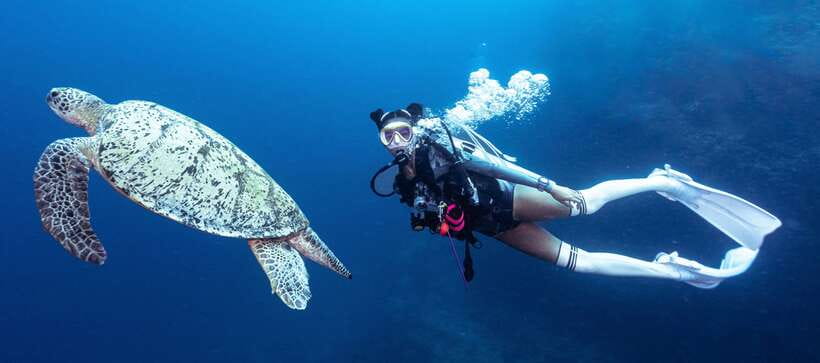 Fisheye Divers: Discover Scuba Diving - The Boat Ride to a Coral Garden