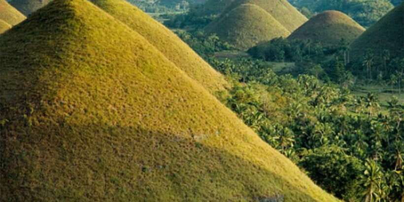 From Bohol & Panglao Island: Full-Day Bohol Tour - Key points to know before booking