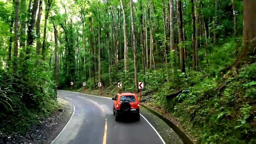 From Cebu: Bohol Countryside & Buffet Lunch Exclusive Tour - Why this Cebu to Bohol day trip works