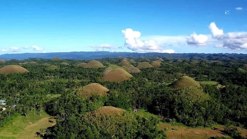 From Cebu: Bohol Countryside & Buffet Lunch Exclusive Tour - Buffet lunch on the Loboc River