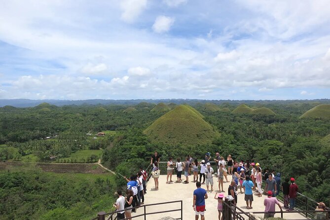 From Cebu: Bohol Countryside Private Tour & Loboc River Cruise - Meeting the tarsiers at the sanctuary