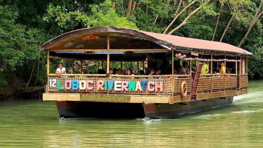 From Cebu: Bohol Countryside Private Tour with Buffet Lunch - Is $148 a fair price?