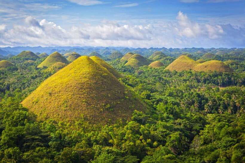 From Cebu City: Bohol Island Highlights in One Day - The high-speed boat sets the rhythm