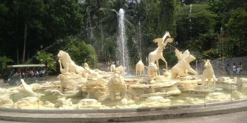 From Cebu City: Cebu Safari and Adventure Park Day Tour - Timing Your Visit Around the Shows