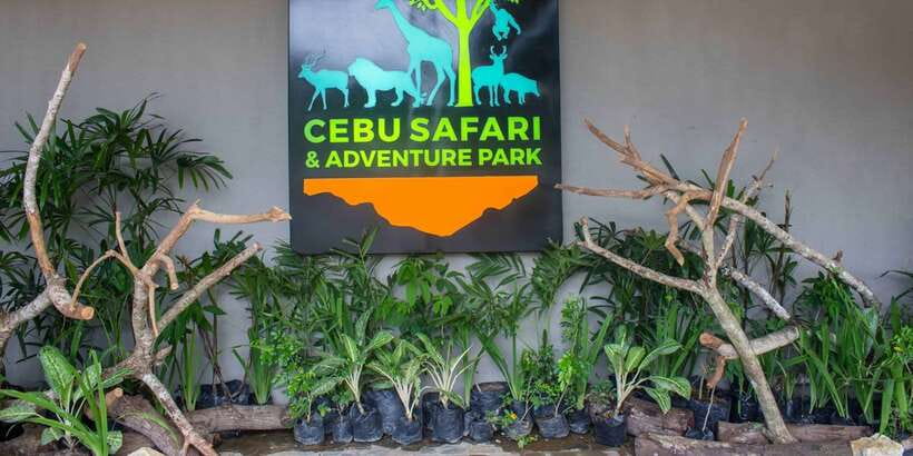 From Cebu City: Cebu Safari and Adventure Park Day Tour - Food, Water, and Cash Inside the Park