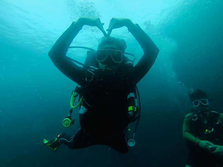From Cebu City: Scuba Diving with Whale Sharks Trip in Oslob - Why Oslob’s whale sharks make this trip special