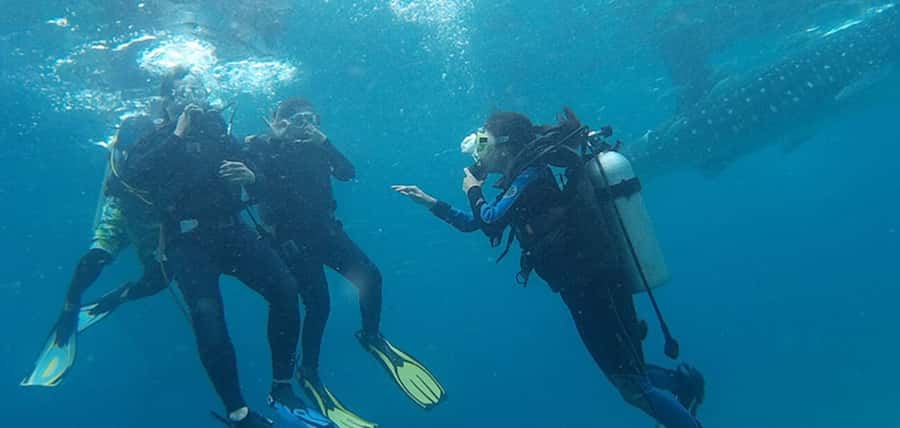 From Cebu City: Scuba Diving with Whale Sharks Trip in Oslob - Getting ready with the instructor in Oslob