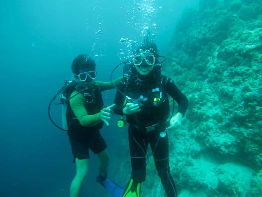 From Cebu City: Scuba Diving with Whale Sharks Trip in Oslob - The 30 to 40 minute whale shark session