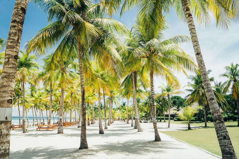 From Cebu: Day Trip to Bohol Highlights - Why this is Bohol’s greatest-hits day