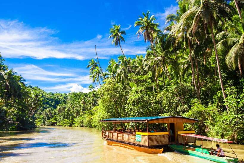 From Cebu: Day Trip to Bohol Highlights - The Bilar Man-Made Forest