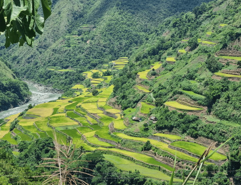 From Manila: 2-Day Buscalan Tour with Apo Whang-od - Choosing a traditional tattoo