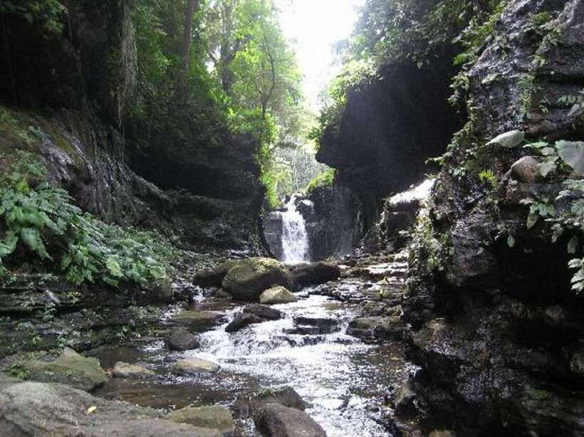 From Manila: Day Tour to Enchanting Hidden Valley - The Drive from Makati and the Bay Area