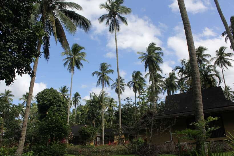 From Manila: Day Tour to Enchanting Hidden Valley - Warm Pools Under the Trees
