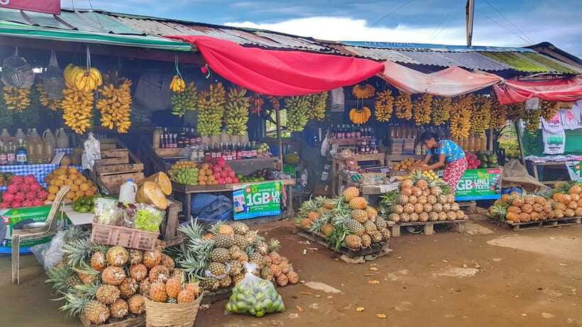 From Manila: Tagaytay Countryside Wonders: A Half-Day Tour - Guides who make the short format work