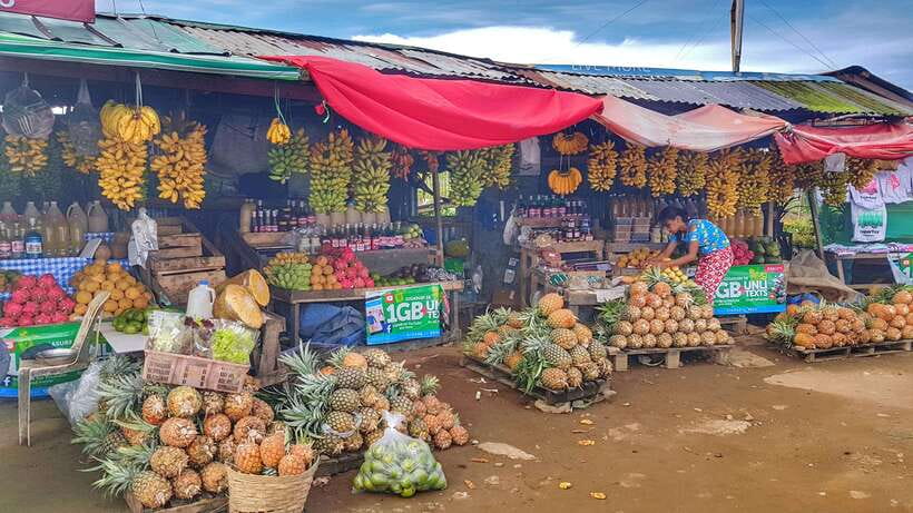 From Manila: Tagaytay Countryside Wonders: A Half-Day Tour - Hotel pickup across Manila’s main districts