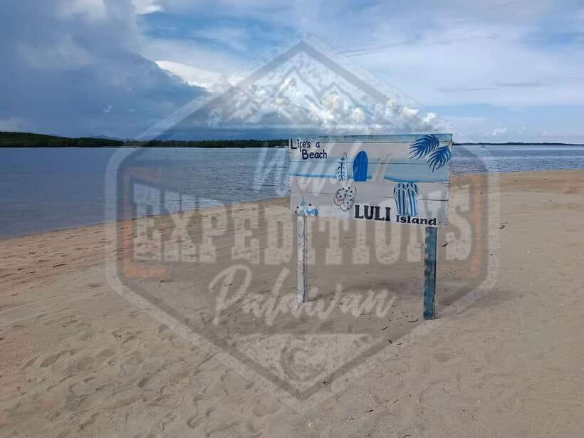 From Puerto Princesa: Honda Bay Island Hopping Full-Day Tour - Starfish Island, lunch, and a gentle start to the water