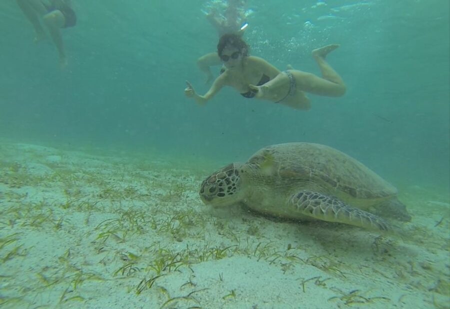 From Puerto Princesa: Port Barton & Island Hopping Day Trip - Exotic Island or Maxima Island for sand and swimming