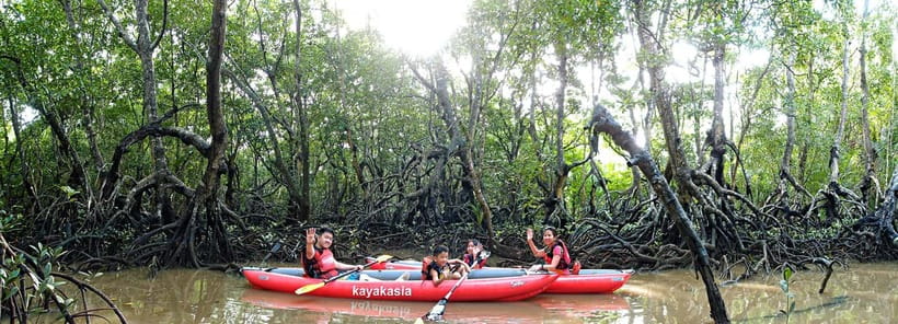 From Tagbilaran City/Panglao Island: Bohol Mangrove Kayaking - Why the Abatan River feels different from Bohol’s usual stops