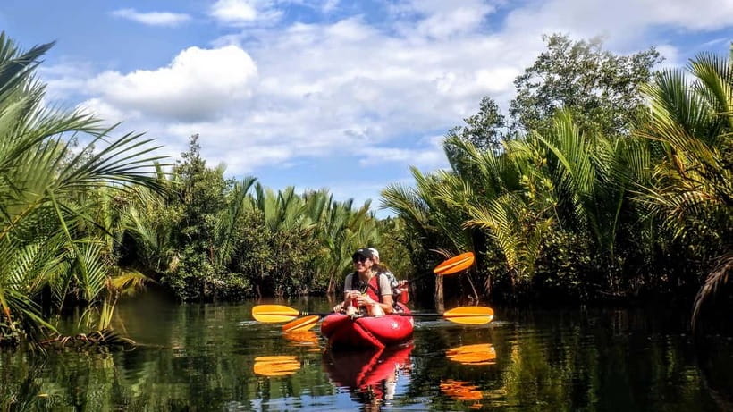 From Tagbilaran City/Panglao Island: Bohol Mangrove Kayaking - Getting from your hotel to the river