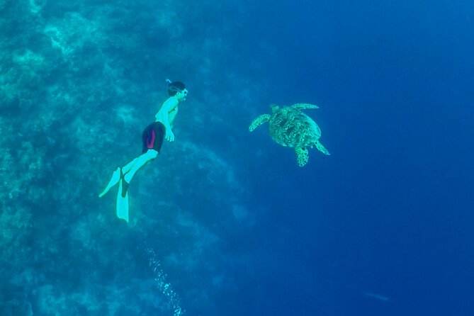 Full-Day Moalboal Islands and Kawasan Falls Small-Group Tour from Cebu - The boat ride to Pescador Island
