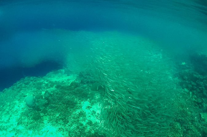 Full-Day Moalboal Islands and Kawasan Falls Small-Group Tour from Cebu - Food, transport, and the real value of $187