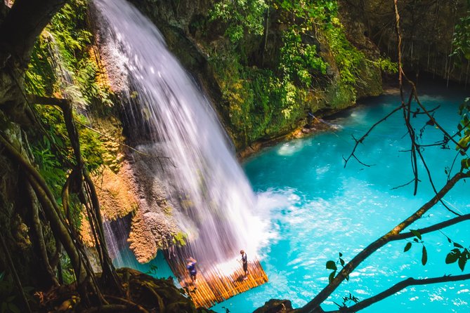 Full-Day Moalboal Islands and Kawasan Falls Small-Group Tour from Cebu - Swimming with turtles at Turtle Point