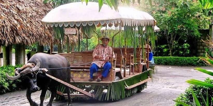 Full Day Tour Villa Escudero Plantation - What the small-group format changes