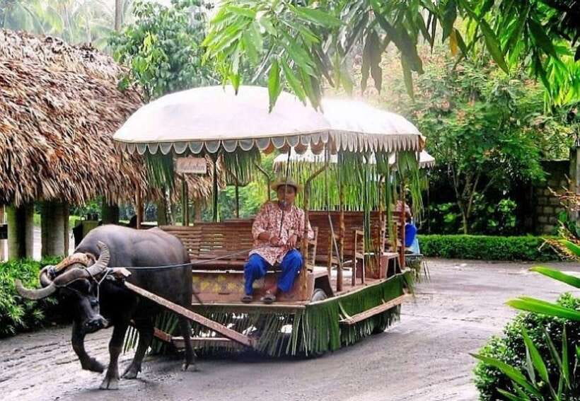 Full Day Tour Villa Escudero Plantation - The Escudero family museum and its older objects