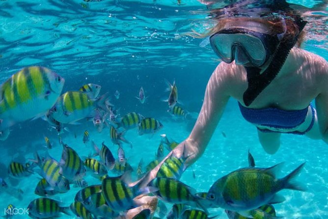 Mactan Cebu Island Hopping with Lunch - Gilutungan, Caohagan, Nalusuan - What this Mactan island tour is really like