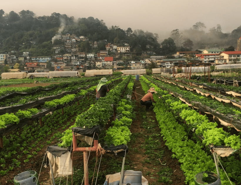 Manila: 3-Day Sagada, Baguio, & Banaue Rice Terraces Tour - Meals, cash, and the small things that affect the trip
