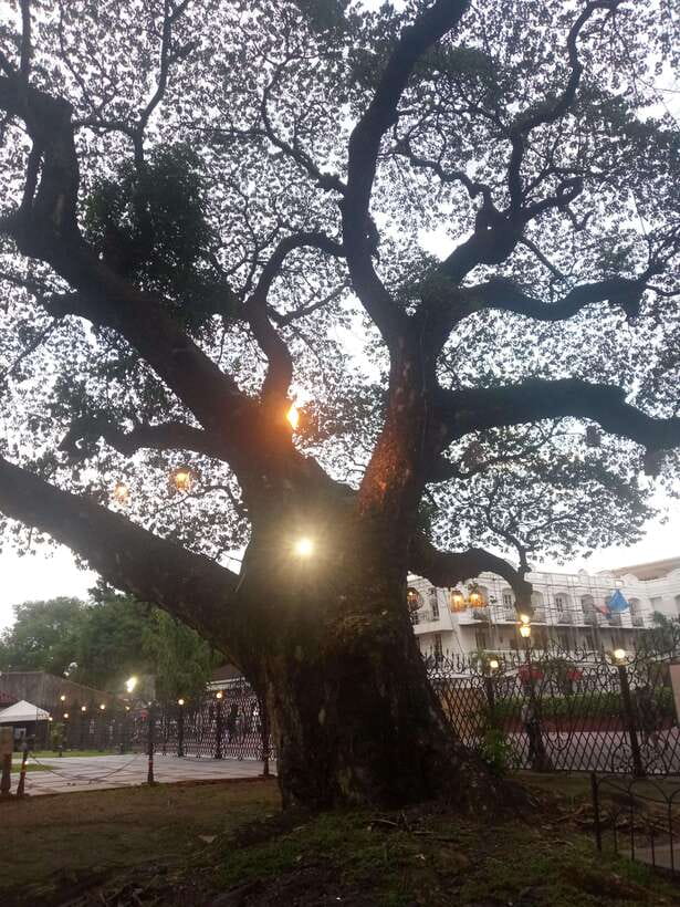 Manila: Intramuros Tour ( Dark) - Key points to know before booking