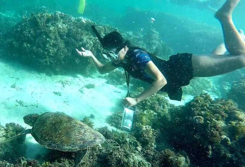 Moalboal: Pescador Island Hopping Adventure and Sardine Run - Is $126 a fair price?