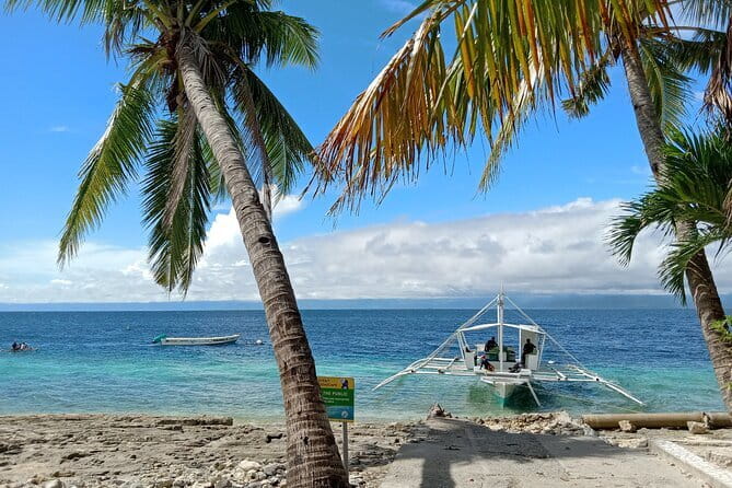 Moalboal Sardine Run, Sea Turtle and Mantayupan Falls - The early start, lunch, and day-to-day pace