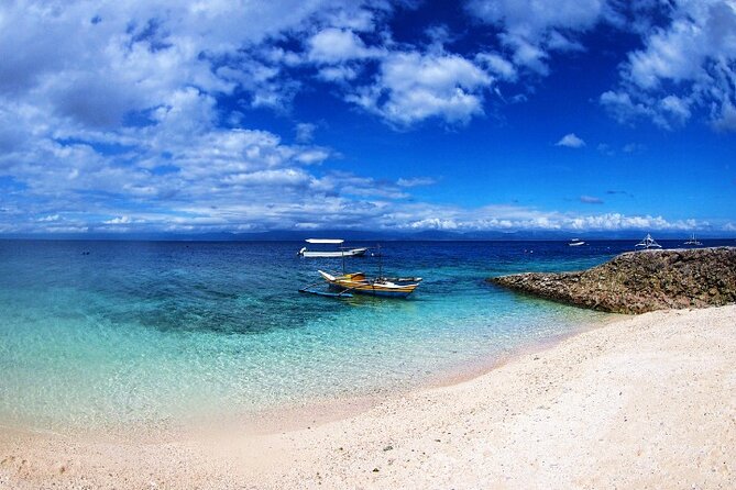 Moalboal Sardines Run Private Tour w/ Transfers Option - Masks, fins, and optional GoPro footage