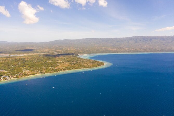 Moalboal Sardines Run Private Tour w/ Transfers Option - Who will enjoy this most