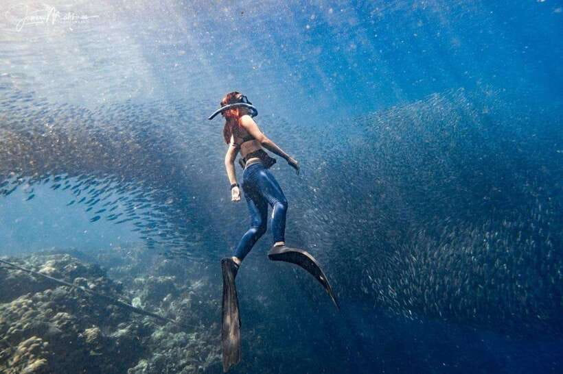 Moalboal: Scuba Diving and Pescador Island Hopping - Two Sessions, Including Pescador Island
