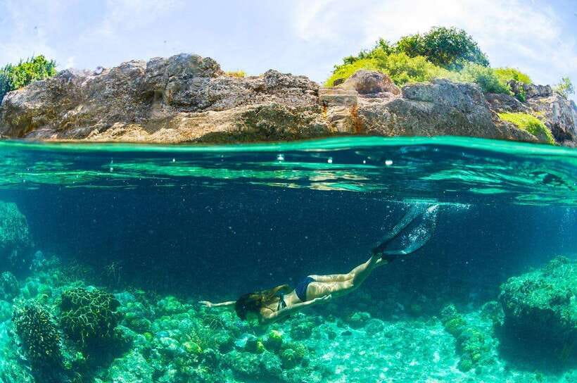 Moalboal: Scuba Diving and Pescador Island Hopping - What the $168 Price Really Covers