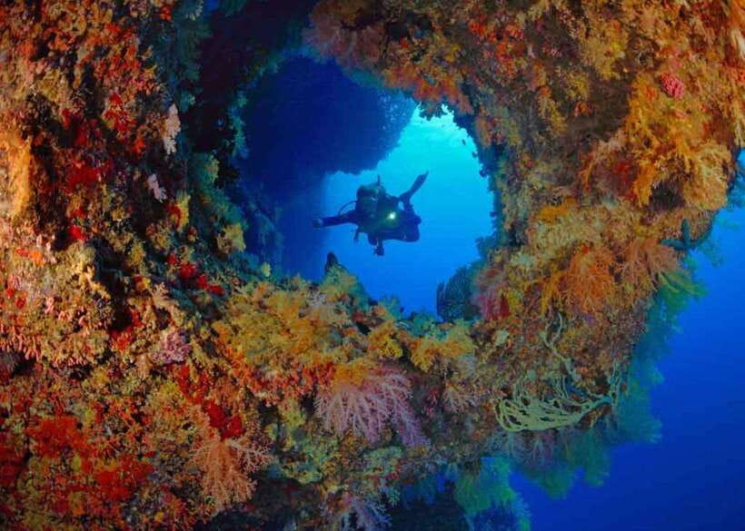 Moalboal: Scuba Diving and Pescador Island Hopping - What to Bring for a Comfortable Day