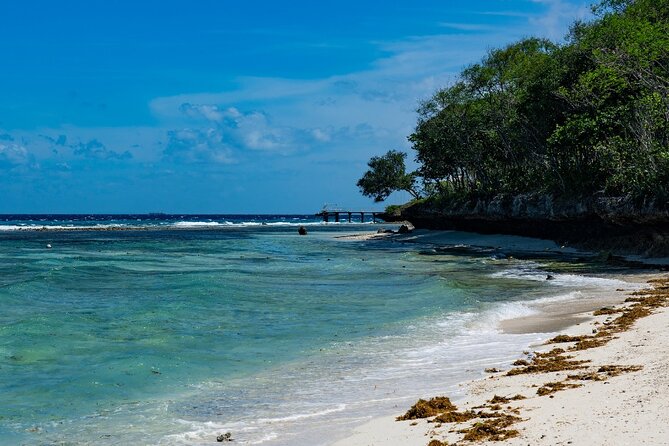 Oslob Whale Shark Private Tour with Sumilon & Tumalog Falls - Sumilon Island for two hours