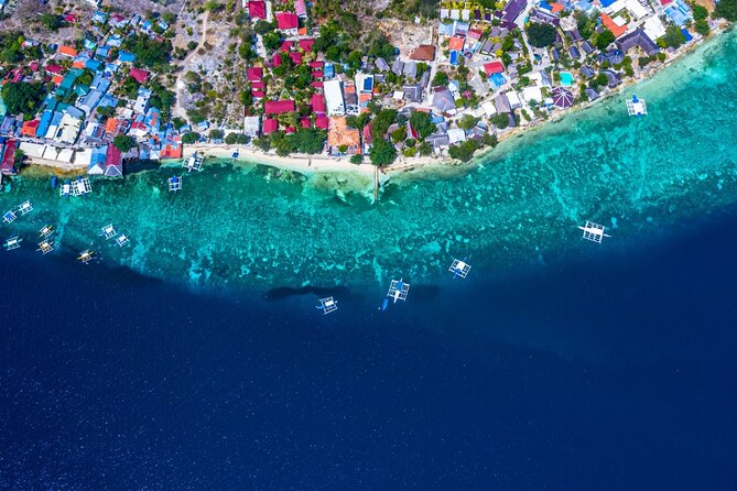 Oslob Whale Shark Private Tour with Sumilon & Tumalog Falls - Why the $198.45 price can make sense