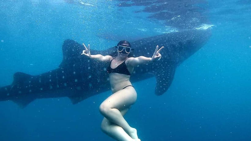 Oslob Whale Shark Swimming & Kawasan Falls Canyoneering - What the $106 price really covers