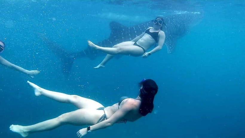 Oslob: Whale Shark Tour with Sumilon & Moalboal Snorkeling - Lunch near Badian and the long middle of the day